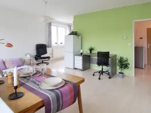 Pronájem bytu 1+kk, Brno, Bešůvka, 38 m2