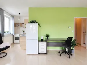 Pronájem bytu 1+kk, Brno, Bešůvka, 38 m2