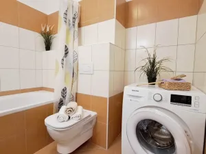 Pronájem bytu 1+kk, Brno, Bešůvka, 38 m2