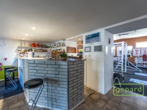 Prodej vícegeneračního domu, Středokluky, Lidická, 569 m2