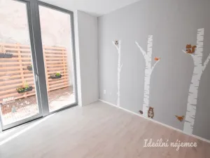 Pronájem bytu 3+kk, Brno - Staré Brno, Kopečná, 73 m2