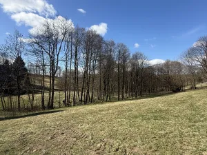 Prodej lesa, Výprachtice, 1892 m2