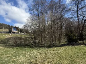 Prodej lesa, Výprachtice, 1892 m2