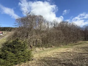 Prodej lesa, Výprachtice, 1892 m2