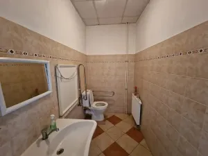 Pronájem rodinného domu, Telč, Na Posvátné, 260 m2