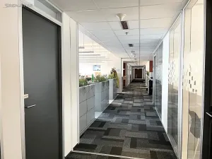 Pronájem kanceláře, Brno, Úzká, 300 m2
