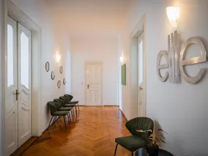 Pronájem bytu 5+1, Praha - Staré Město, Na Perštýně, 197 m2