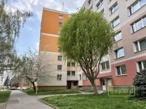 Prodej bytu 3+1, Olomouc, Rooseveltova, 68 m2