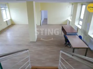 Pronájem výrobních prostor, Opava, Rybářská, 694 m2