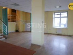 Pronájem výrobních prostor, Opava, Rybářská, 694 m2