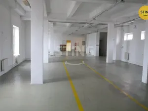 Pronájem výrobních prostor, Opava, Rybářská, 694 m2