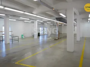 Pronájem výrobních prostor, Opava, Rybářská, 694 m2