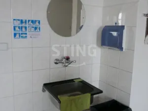 Pronájem výrobních prostor, Opava, Rybářská, 694 m2