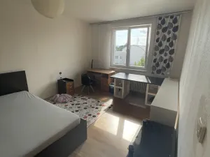 Pronájem bytu 1+1, České Budějovice, Křižíkova, 40 m2