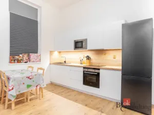 Prodej bytu 2+kk, Ostrava - Přívoz, Palackého, 48 m2