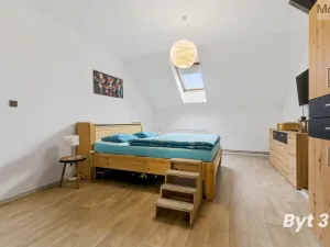 Prodej vícegeneračního domu, Duchcov, Teplická, 330 m2