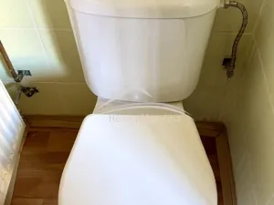 Prodej chalupy, Pohled, V Aleji, 150 m2