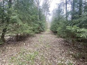 Prodej pozemku, Volfířov - Brandlín, 5958 m2