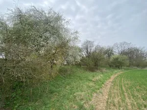 Prodej pozemku, Štětí - Brocno, 273 m2