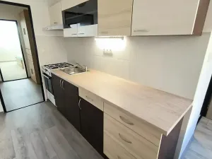 Pronájem bytu 2+1, Ústí nad Labem, Pincova, 65 m2