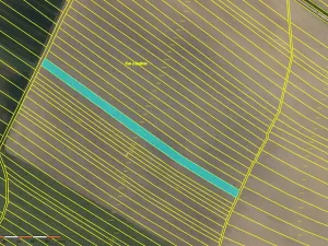 Prodej pole, Skoronice, 10065 m2