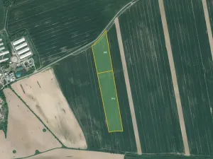 Prodej pole, Poběžovice, 28823 m2