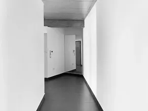 Prodej bytu 2+kk, České Budějovice, Rudolfovská tř., 98 m2