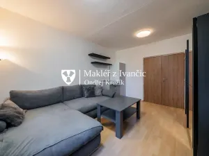 Prodej bytu 1+1, Ivančice, Luční, 36 m2