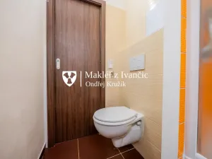 Prodej bytu 1+1, Ivančice, Luční, 36 m2