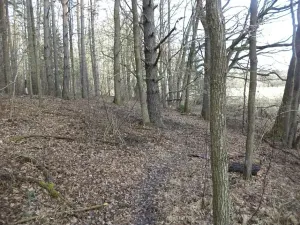 Dražba louky, Novosedly nad Nežárkou, 15643 m2