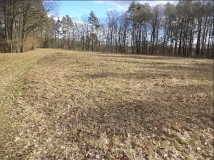 Dražba louky, Novosedly nad Nežárkou, 15643 m2