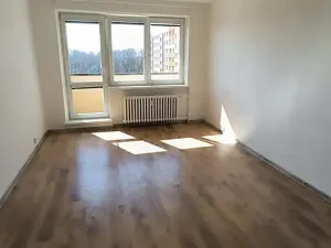 Pronájem bytu 1+1, Ostrava, Srbská, 40 m2