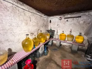 Prodej zahrady, Znojmo - Oblekovice, 615 m2