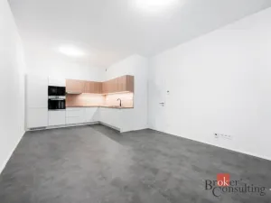 Pronájem bytu 2+kk, Olomouc, Wolkerova, 66 m2