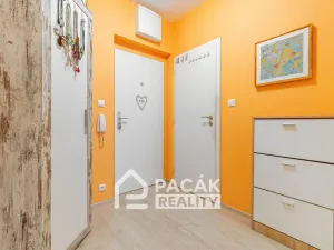 Prodej bytu 2+kk, Olomouc, Aloise Rašína, 56 m2