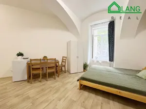 Pronájem bytu 1+kk, Brno, Koliště, 30 m2