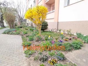 Pronájem bytu 2+1, Havířov - Město, Matuškova, 51 m2