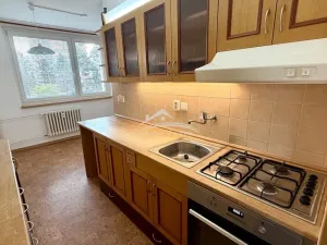 Pronájem bytu 3+1, Jihlava, Na Kopci, 73 m2