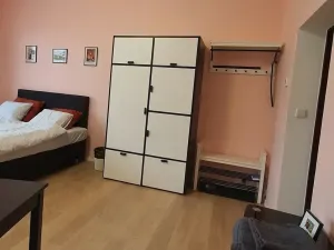 Pronájem bytu 1+kk, Praha - Libeň, Davídkova, 27 m2