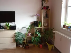 Prodej bytu 1+kk, Brno - Židenice, Pálavské náměstí, 33 m2