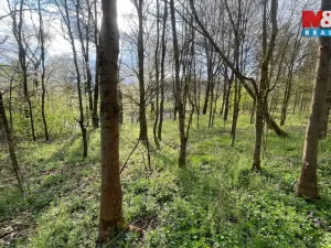 Prodej pole, Písek - Hradiště, 5135 m2