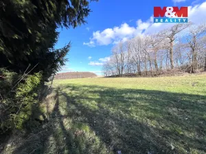 Prodej rodinného domu, Protivanov, Na Bardóně, 180 m2