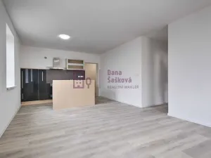 Pronájem bytu 3+kk, Jindřichův Hradec - Jindřichův Hradec I, nám. Míru, 57 m2