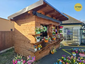 Pronájem komerční nemovitosti, Karviná, tř. Těreškovové, 14 m2