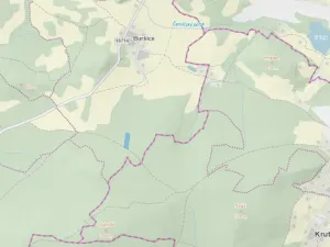 Prodej lesa, Kolinec - Buršice, 5195 m2