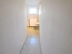 Pronájem výrobních prostor, Přáslavice, 250 m2