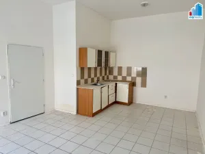 Prodej rodinného domu, Heřmanova Huť, Revoluční, 397 m2