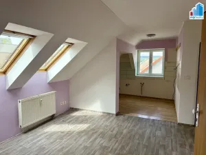 Prodej rodinného domu, Heřmanova Huť, Revoluční, 397 m2