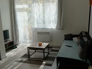 Pronájem bytu 3+1, Brno, Renneská třída, 42 m2