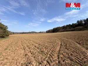 Prodej pole, Drevníky, 4478 m2